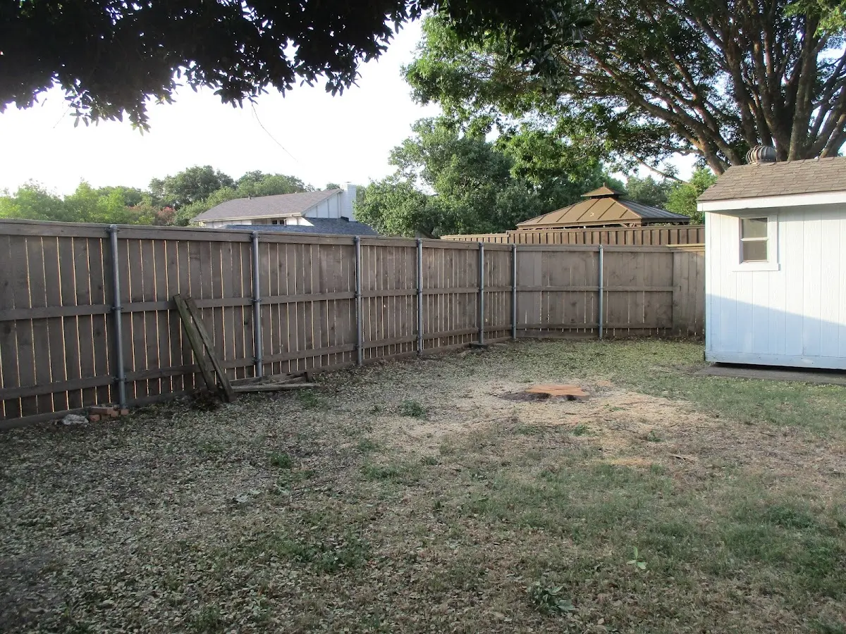 Cleared yard after professional tree removal in Lorado